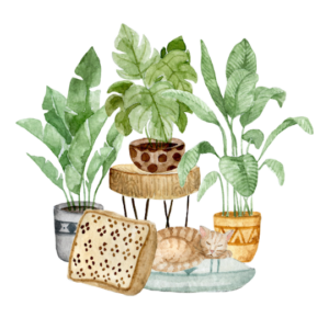 cat plants A watercolour painting of a cat sleeping amongst houseplants.